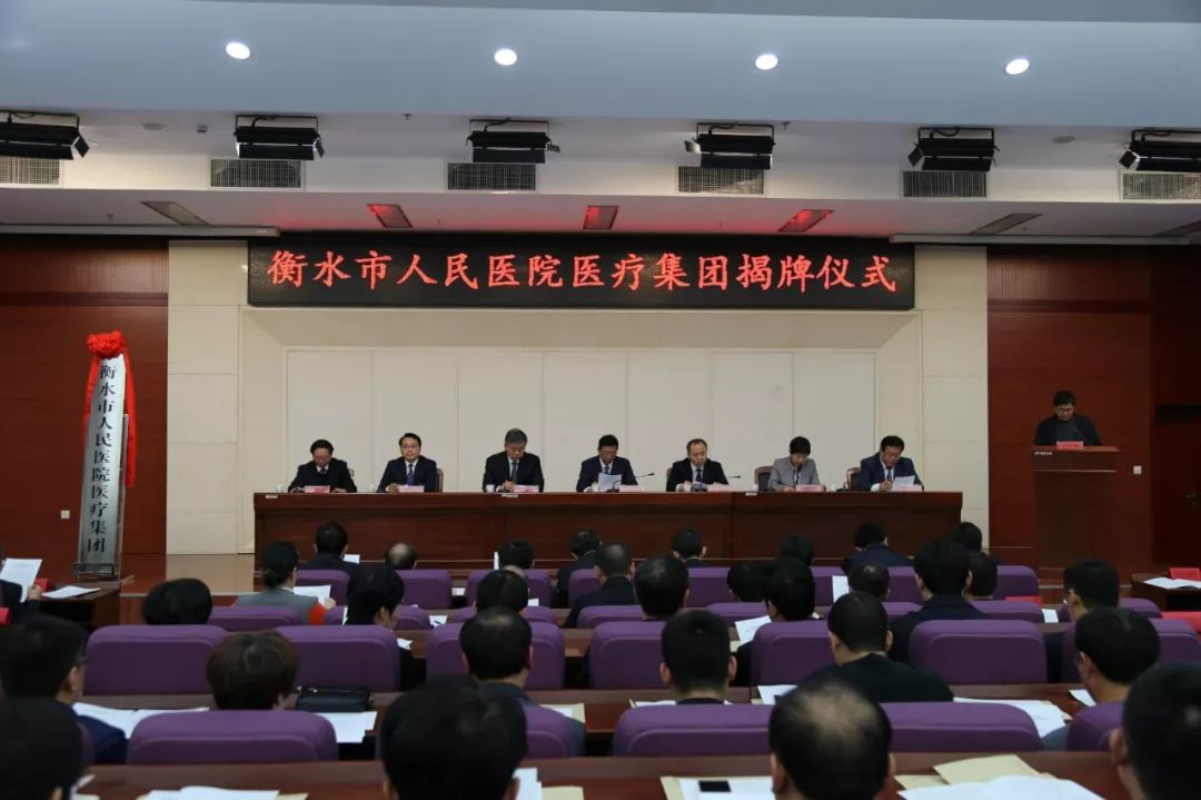 衡水城市紧密型医疗集团,衡水集团