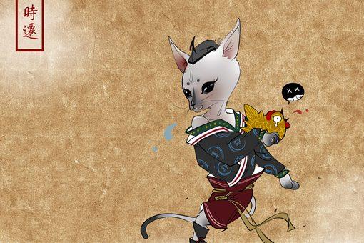 水浒传时迁厉害吗,水浒传时迁功劳不少为啥排名靠后