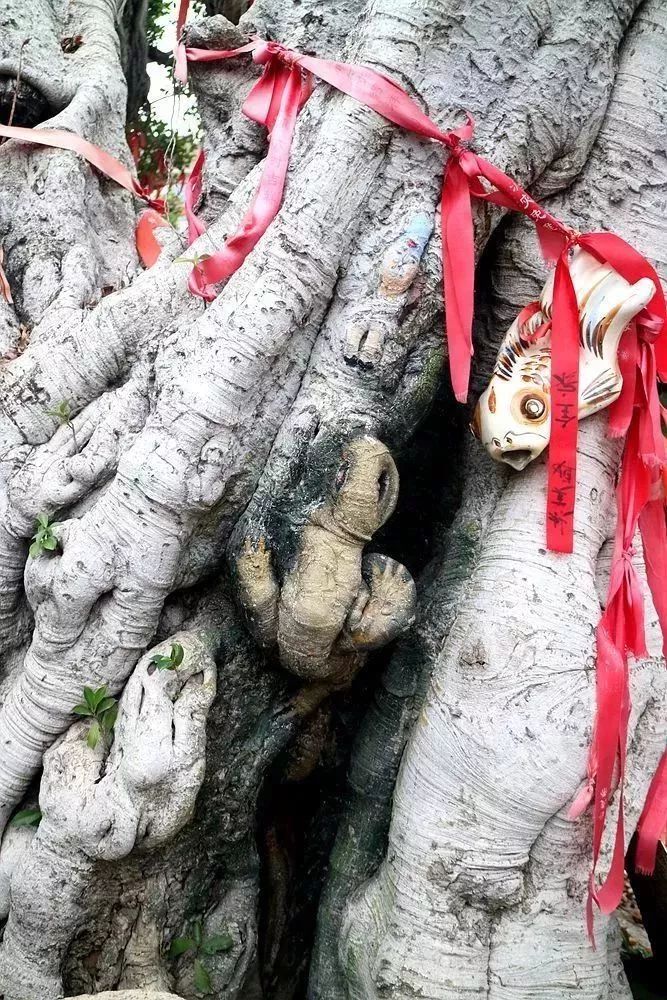 厦门翔安海洋馆门票价格,翔安澳头海洋馆