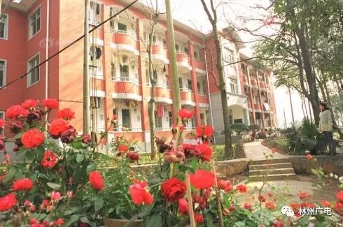 巨变四十年,巨变40年