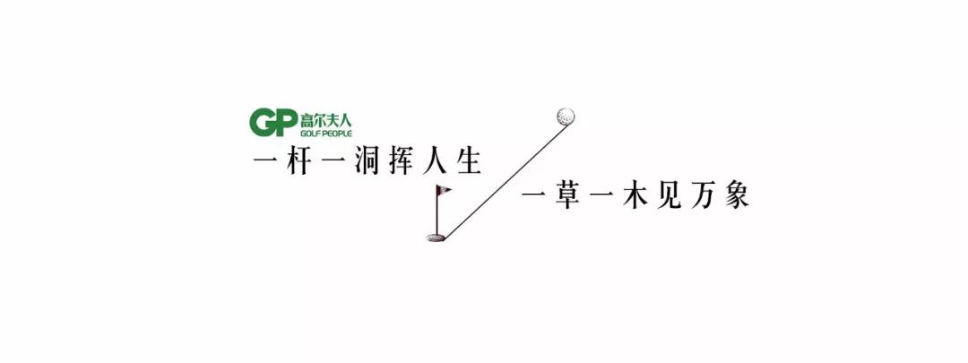 林克斯球场风格沙坑,林克斯风格球场