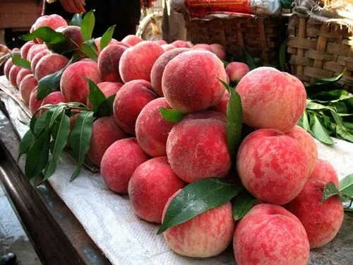 四川成都各大批发市场,成都最新批发市场