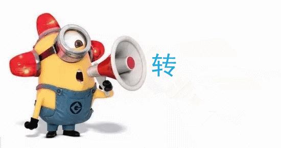 西海岸新区最新公交线路,西海岸新区地铁规划线路图