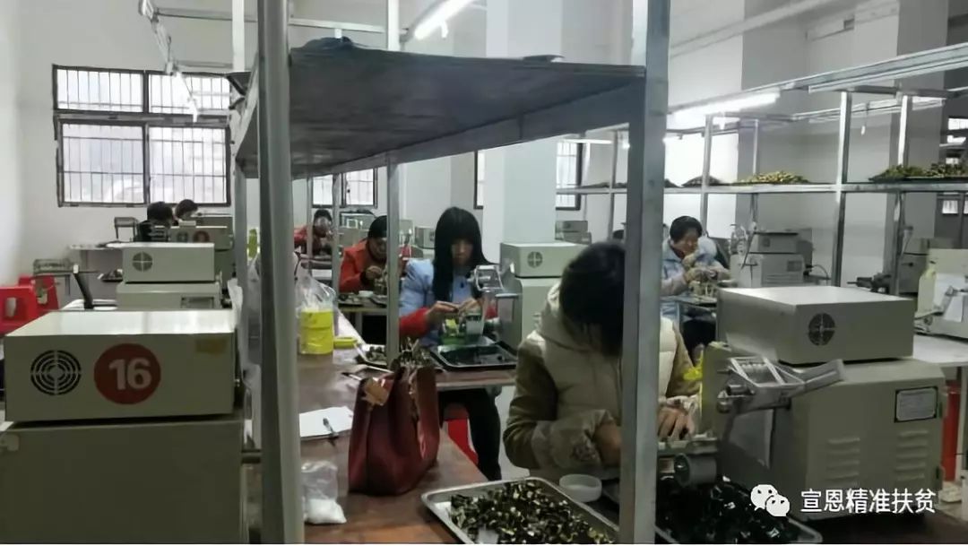 鏄撹縼缇や紬閫傚簲鍩庡競鐢熸椿,鏄撹縼鎼