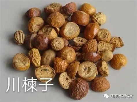 毒液的视角看毒液,医学生眼中的饮料图片