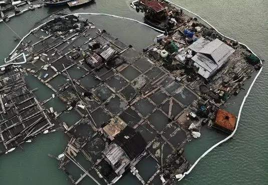 女记者被查房后续报道,女记者暗访被谋杀后续