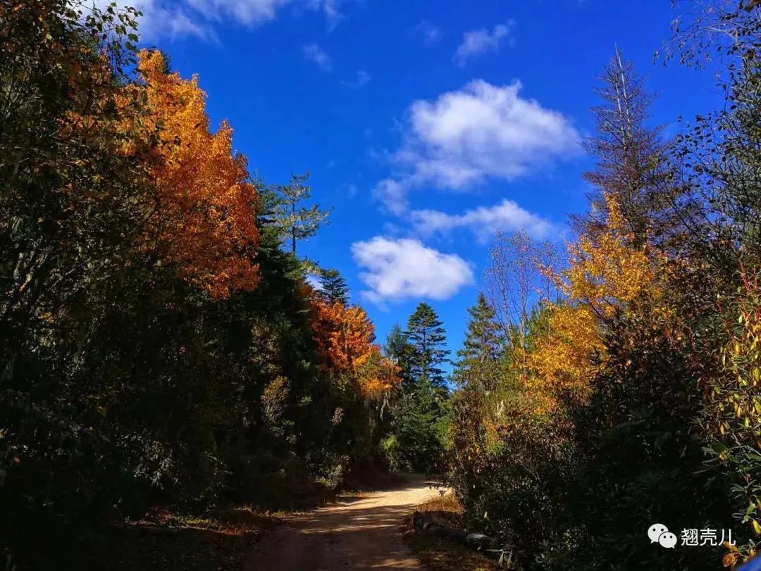 游记分享｜如梦木里，神秘的花园