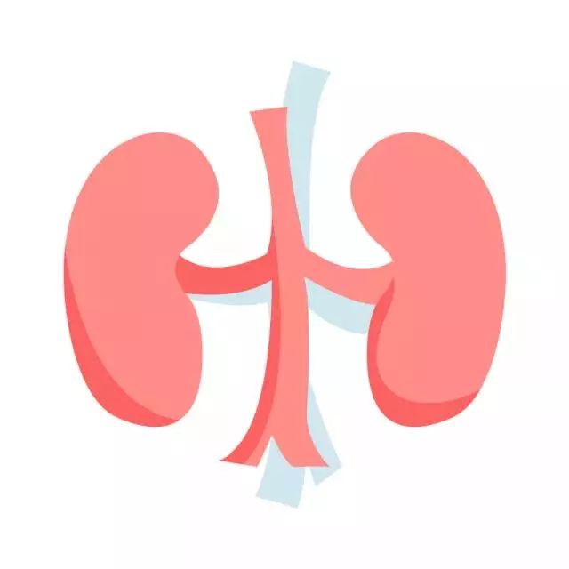 贫血引起的肾病有哪些特征,小孩贫血和肾病有关系吗