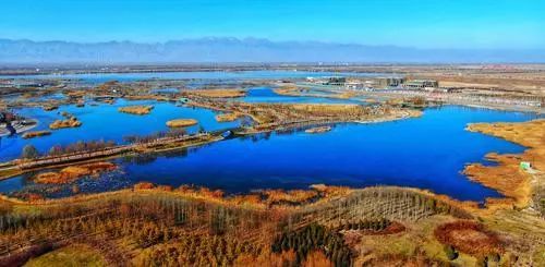 冬日美好请查收,冬日宁夏美景