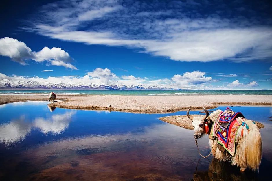 关于那些被各省藏起来的特产,全国各省特产适合带回家的