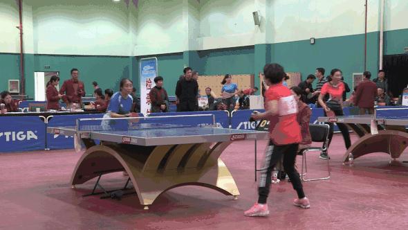 乒乓球热血比赛视频,乒乓球热血比赛