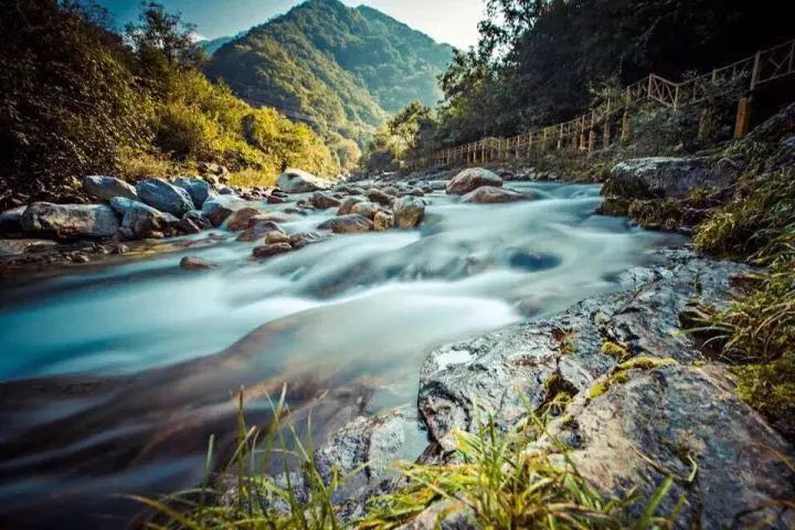 西安旅游景区直通车推出春节优惠,西安免费景点直通车