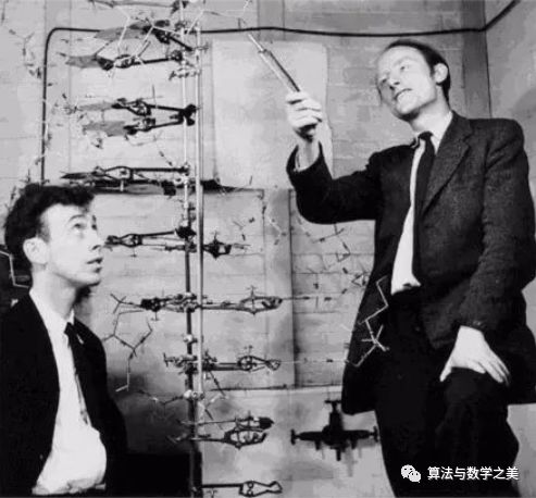 数学在现代科技的应用,现代数学包含的内容