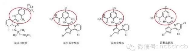 康宽和艾法迪哪个好,康宽和倍内威