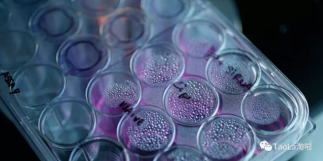 抗癌神器价格表,四款不限癌种抗癌新药火遍癌友圈