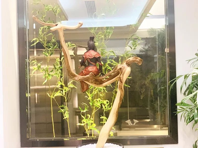 走进亮美嘉，感受光魅力——亮美嘉临沂媒体采盛行成功举行