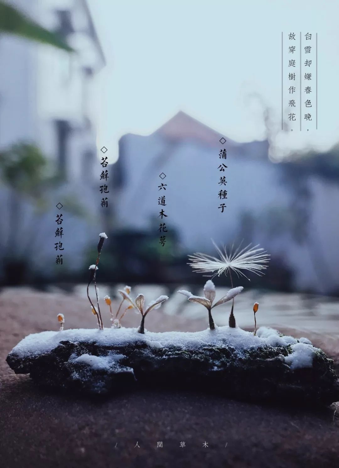 教你怎么造雪,人工造雪最简单的方法