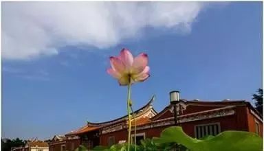 厦门翔安附近免费的湿地公园,翔安这边公园