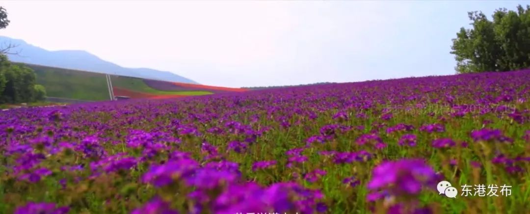 隐藏在乡村的特色民居,这些民宿深藏在江浙
