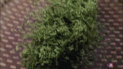 瀹ｆ仼鏃呮父浼樻儬,瀹ｆ仼鏃呮父璐墿鎺ㄨ崘