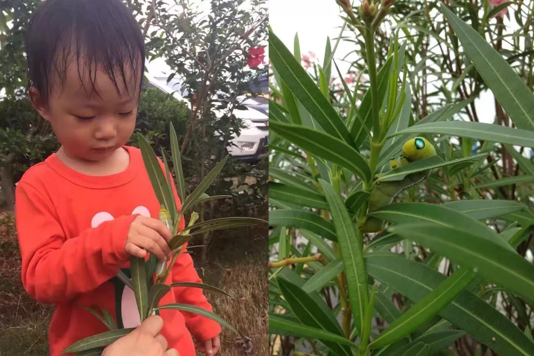 双12给宝宝囤的宝宝用品,双12宝宝必买清单