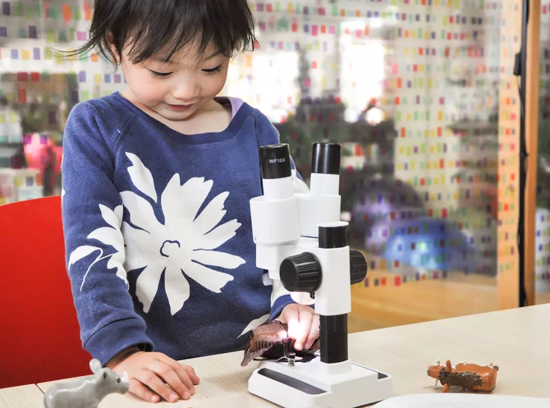 双12给宝宝囤的宝宝用品,双12宝宝必买清单