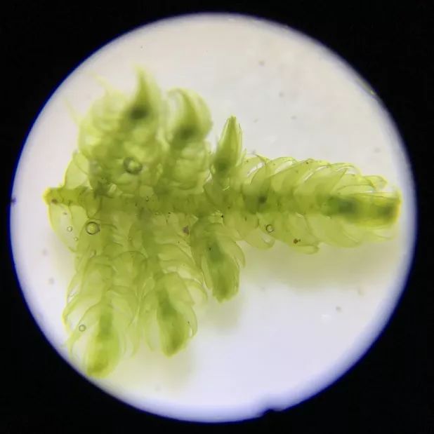 双12给宝宝囤的宝宝用品,双12宝宝必买清单