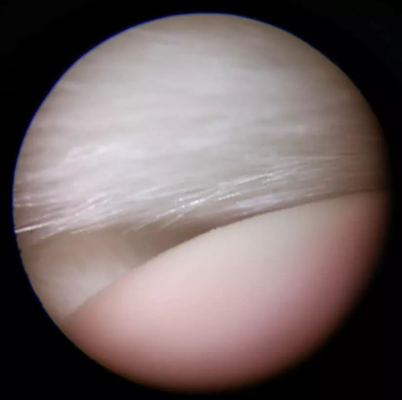 双12给宝宝囤的宝宝用品,双12宝宝必买清单