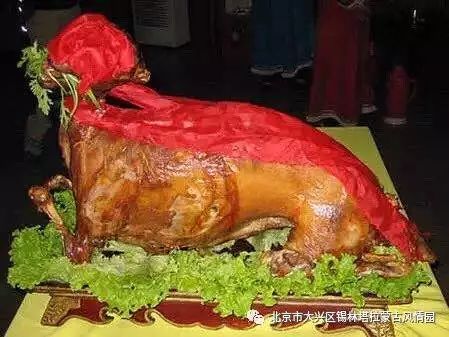 慧慧旅行的最新视频,慧游旅游