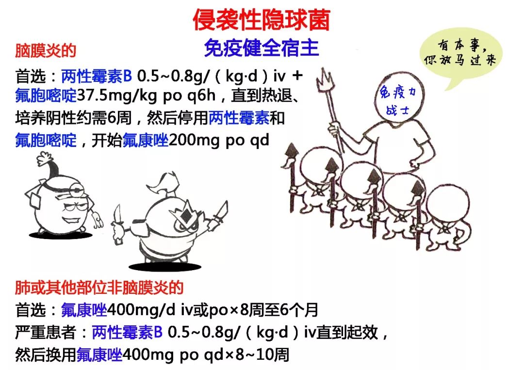 隐球菌治愈率高吗,隐球菌治好贵不贵