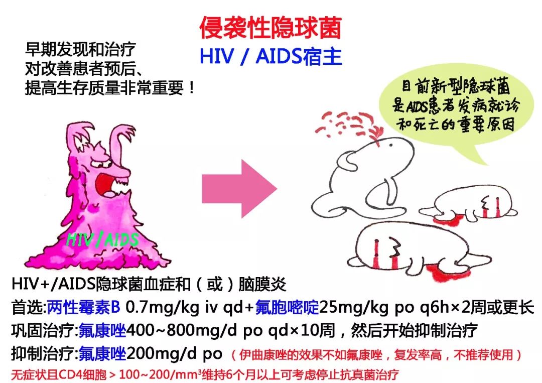 隐球菌治愈率高吗,隐球菌治好贵不贵