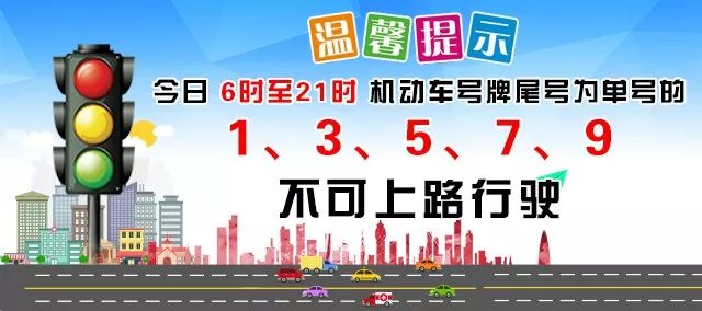 阳城县惊现白鹭,河南惊现白鹭