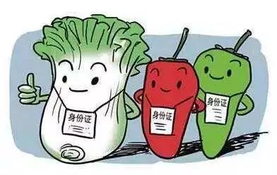 十大放心肉菜超市,未央区中型超市有哪些家