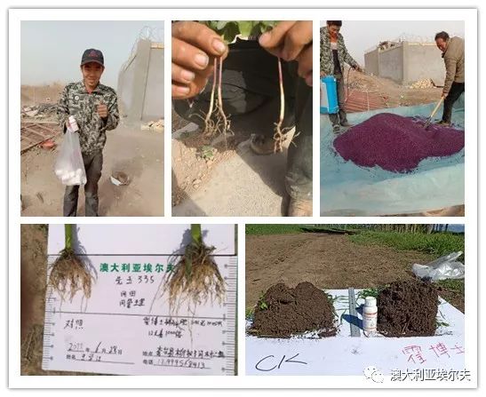 霍博士钙镁肥,霍博士拌种肥用法用量