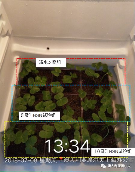 霍博士钙镁肥,霍博士拌种肥用法用量