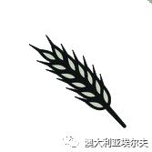 霍博士钙镁肥,霍博士拌种肥用法用量