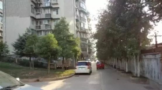 地铁2号线沿线学区房,地铁1号线双学区房