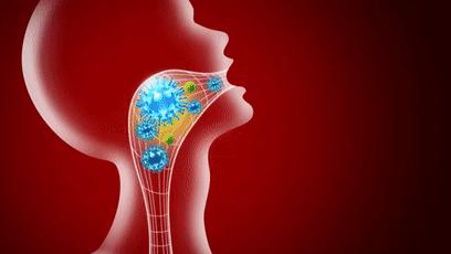 瑞士国宝大全,瑞士国宝