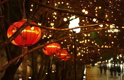 新春特别企划生生不息,新春活动策划案