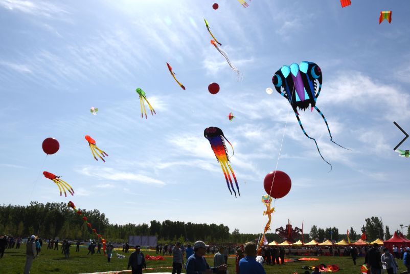 河北体育改革,河北省体育改革40年报道