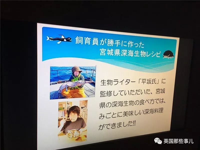 水族馆里面有什么样的小鱼,水族馆鱼虾