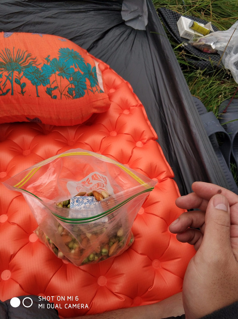 一次不完整的鳌太随行装备点评