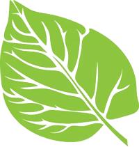 捡鸡蛋吃生鸡蛋,捡鸡蛋给爷爷奶奶吃