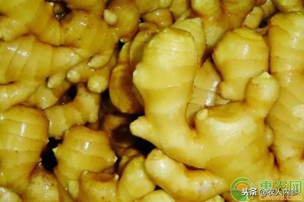 8月12日农产品批发价格,5月11日农产品批发价格