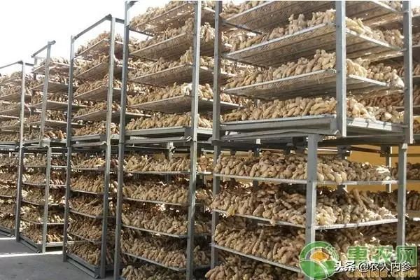 8月12日农产品批发价格,5月11日农产品批发价格