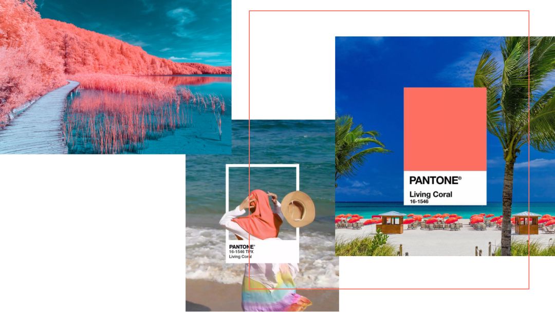 转发锦鲤真的能带来好运吗,转发锦鲤为什么受欢迎