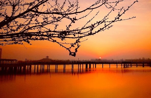 河北省十佳小区,河北省级示范小区有哪些