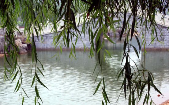 河北省十佳小区,河北省级示范小区有哪些