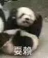 第一次做汇报紧张,第一次相亲好紧张