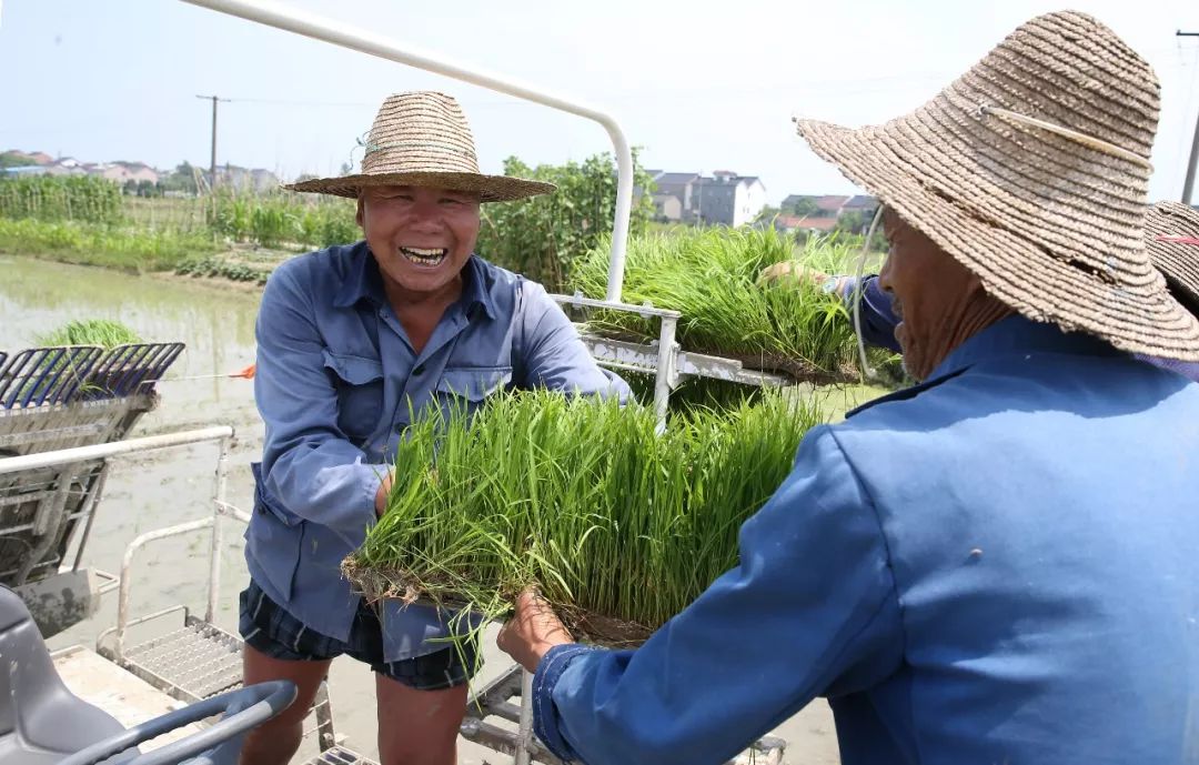 这里是徽州,这里是合肥